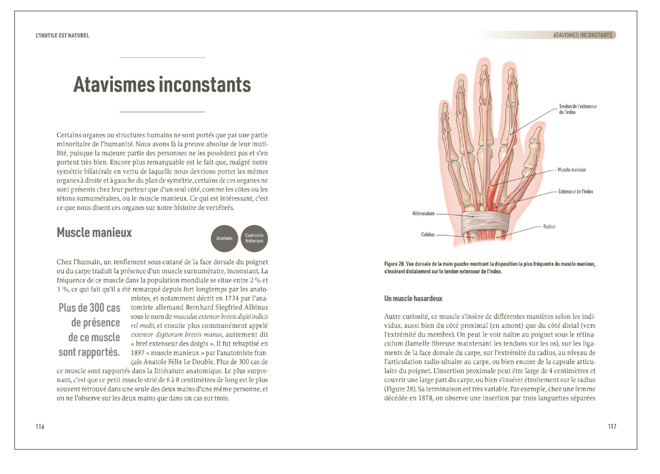 Parution de "Petit traité d'anatomie superflue" par Guillaume Lecointre, aux éditions Delachaux et Niestlé