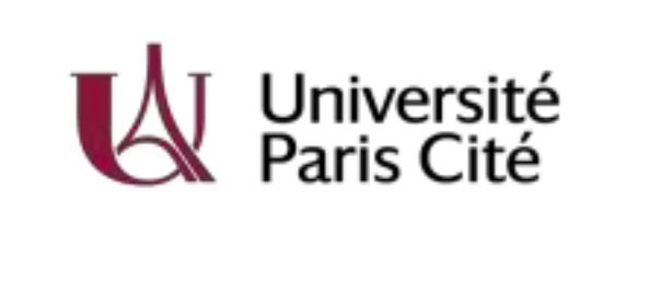 L’université Paris Cité lance un programme ambitieux pour former ses acteurs de la recherche à la vulgarisation scientifique